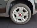 Fiat Panda My23 1.0 70cv Hybrid Panda Noir - thumbnail 8