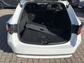 Toyota Corolla Touring Sports 1.8 Hyb Business Edition Weiß - thumbnail 8