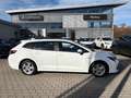Toyota Corolla Touring Sports 1.8 Hyb Business Edition Weiß - thumbnail 16