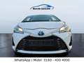 Toyota Yaris Hybrid Comfort 1 Hand nur 59 Tkm Weiß - thumbnail 15