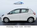 Toyota Yaris Hybrid Comfort 1 Hand nur 59 Tkm Weiß - thumbnail 5