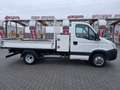 Iveco Daily 35 C 13 DPF Weiß - thumbnail 4