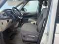 Volkswagen T7 Multivan T7Multivan Life/AHK/Kamera/PDC/Vis-a-Vis/LED/ACC Blanc - thumbnail 13