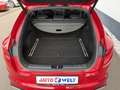 Kia ProCeed / pro_cee'd ProCeed 1.4 T-GDI GT-Line Navi Kamera Totwinkel Rot - thumbnail 9