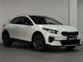 Kia XCeed 1.5 MHEV Emotion Blanco - thumbnail 13
