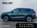 Skoda Kodiaq 2.0 TSI 4x4 DSG Clever *AHK*Pano*CAM*ACC* Grün - thumbnail 5