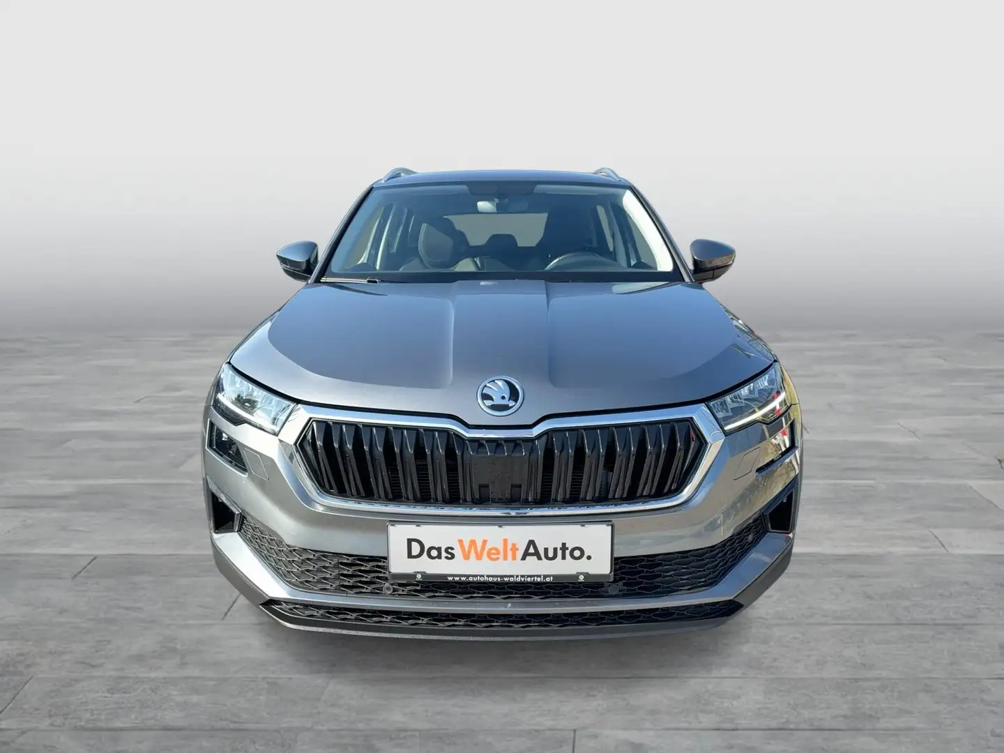 Skoda Karoq 4x4 Style TDI DSG Grau - 2
