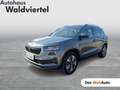 Skoda Karoq 4x4 Style TDI DSG Grau - thumbnail 1