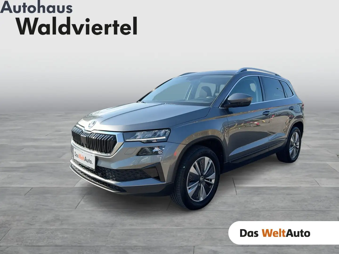Skoda Karoq 4x4 Style TDI DSG Grau - 1