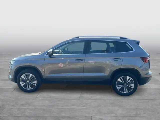 Skoda Karoq view 3