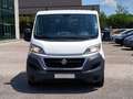 Fiat Ducato 2.3 mjt 7 POSTI D0PPIA CABINA Bianco - thumbnail 3