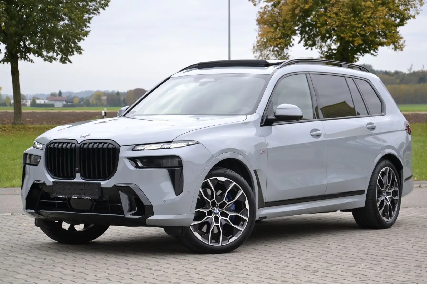 BMW X7 xDrive 40i M Sport MASSAGE AHK SKY DR.ASS.PRO Gris - 2
