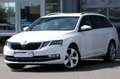 Skoda Octavia Combi 2.0 TDI DSG Premium Edition Wit - thumbnail 1