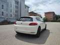 Volkswagen Scirocco tsi Bianco - thumbnail 4