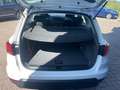 SEAT Arona 1.0 TSI REFERENCE Wit - thumbnail 19