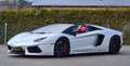 Lamborghini Aventador Roadster-LP 700-4-Rotes Leder-Navi-Sportauspuff Weiß - thumbnail 16