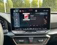 CUPRA Formentor VZ 2.0 TSI 245 kW 4Drive AHK Pano Schwarz - thumbnail 15