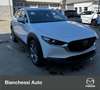 Mazda CX-30 2.0L e-Skyactiv-G M Hybrid 2WD Exclusive Line Blanco - thumbnail 5