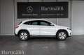 Mercedes-Benz EQA 300 EQA 300 4MATIC Progessive Advanced Panorama Klima Blanc - thumbnail 5