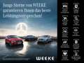 Mercedes-Benz GLB 250 Progressive+EASY-PACK+RÜCKFAHRKAMERA+TWA Gris - thumbnail 25