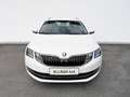 Skoda Octavia Combi 2,0 TDI Style Limited 4x4 DSG Weiß - thumbnail 2