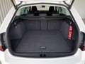 Skoda Octavia Combi 2,0 TDI Style Limited 4x4 DSG Weiß - thumbnail 24