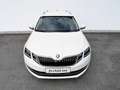 Skoda Octavia Combi 2,0 TDI Style Limited 4x4 DSG Weiß - thumbnail 3