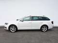 Skoda Octavia Combi 2,0 TDI Style Limited 4x4 DSG Weiß - thumbnail 6