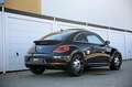 Volkswagen Beetle Sport DSG Pan.Dach Xenon FenderSound Navi Black - thumbnail 6