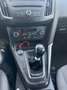 Ford Focus Focus IV 2015 5p 1.5 tdci Titanium s Grigio - thumbnail 12