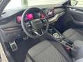Skoda Octavia 4x4 Sportline TSI DSG Grau - thumbnail 8