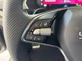 Skoda Octavia 4x4 Sportline TSI DSG Grau - thumbnail 14