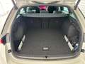 Skoda Octavia 4x4 Sportline TSI DSG Grau - thumbnail 22