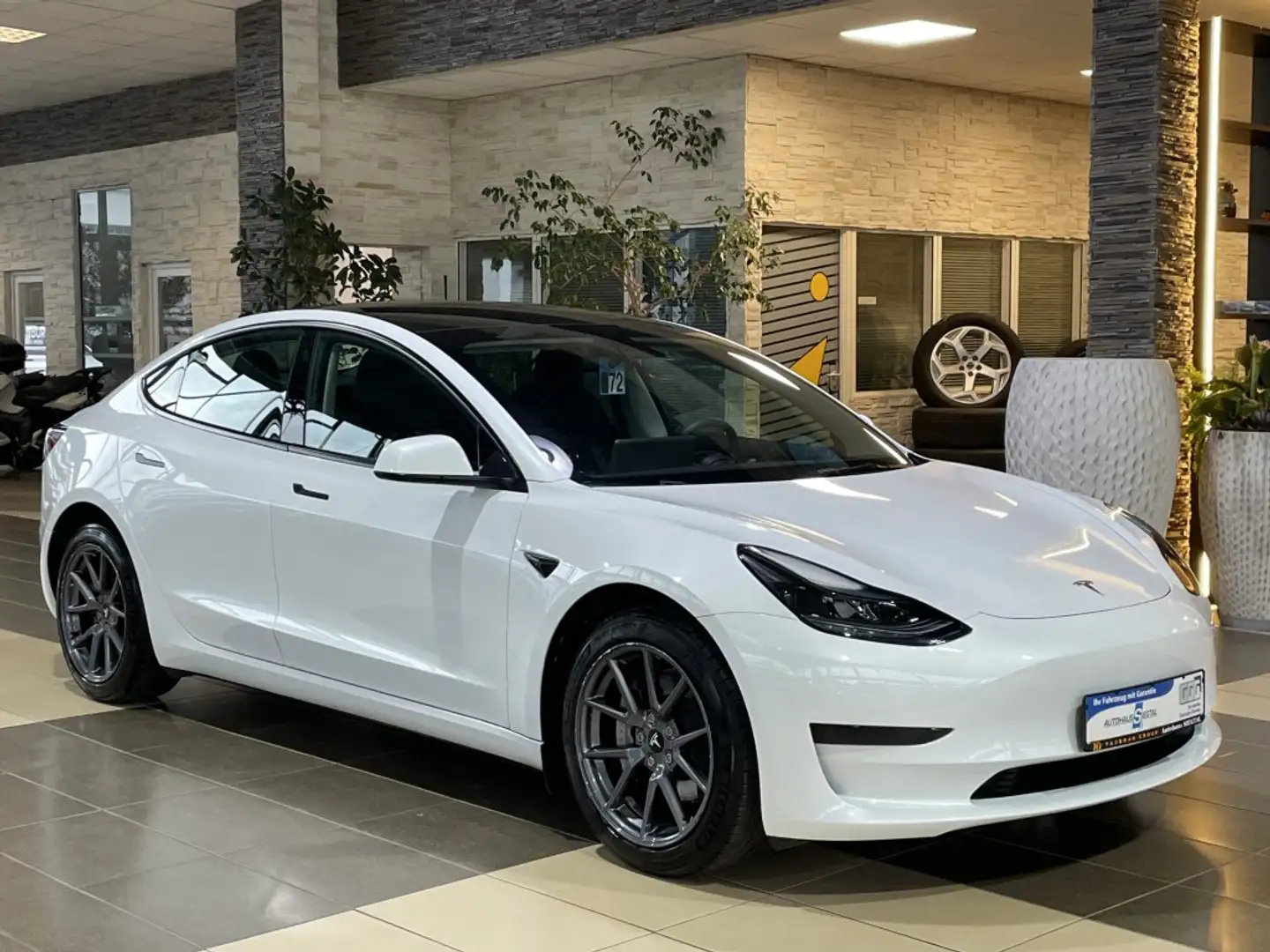Tesla Model 3 Pano. Leder Navi R.Cam ACC Autopilot LED Weiß - 1