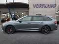 Skoda Octavia Combi RS iV Pano/HeadUp/Kamera Grau - thumbnail 9