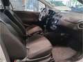 Fiat Punto 8v SPORTLINE Білий - thumbnail 12