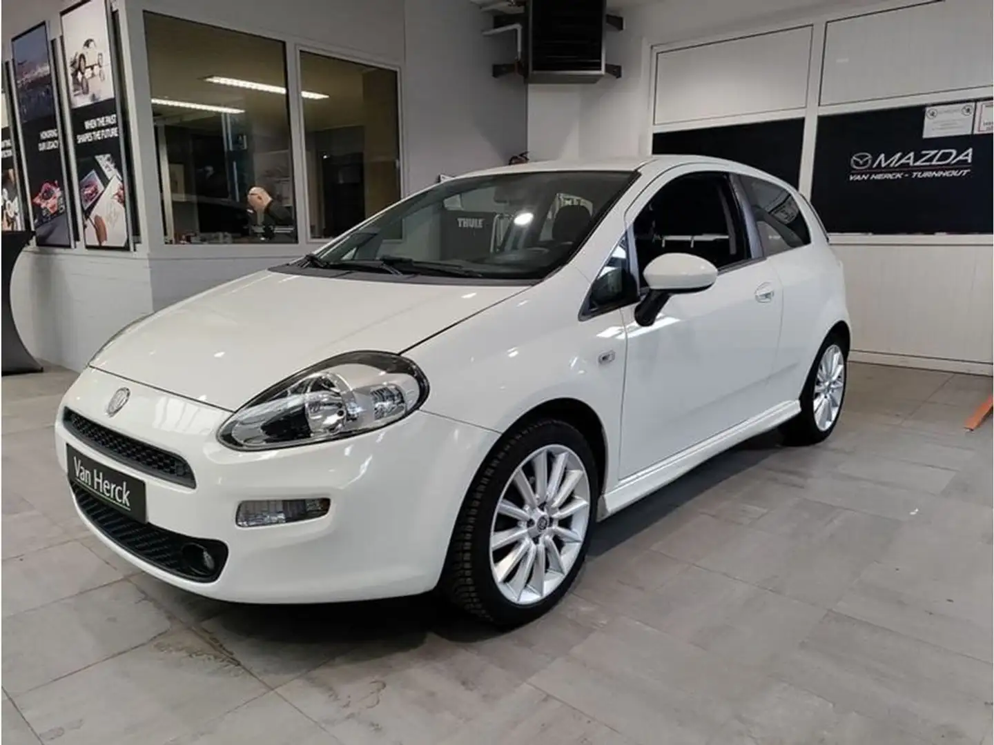 Fiat Punto 8v SPORTLINE Білий - 1