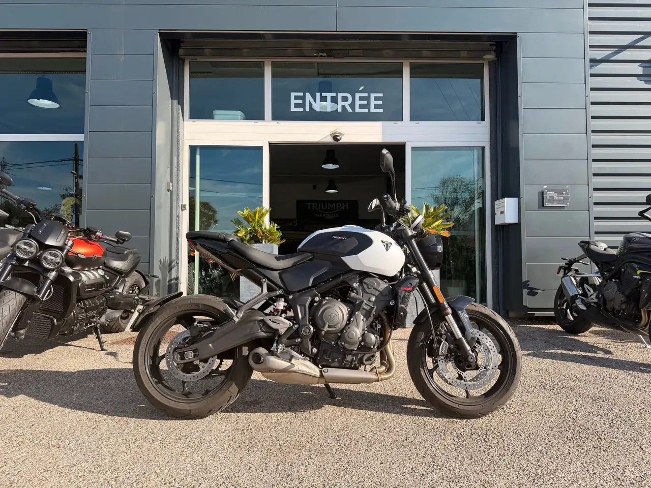 Triumph Trident 660