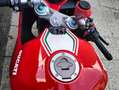 Ducati SuperSport 950 S Rosso - thumbnail 4