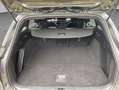 Ford Focus 1.0 EcoBoost ST Line X AHK, KAMERA, LED, Gris - thumbnail 5