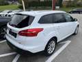 Ford Focus Traveller 1,0 EcoBoost Titanium Weiß - thumbnail 2