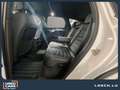 Volkswagen Touareg R-Line+V6TDI+4M+DSG Blanc - thumbnail 14