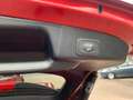Ford Focus Turnier Titanium MHEV ACC Kamera Rot - thumbnail 13