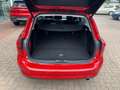 Ford Focus Turnier Titanium MHEV ACC Kamera Rot - thumbnail 6