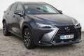 Lexus NX 350h Luxury Line Grau - thumbnail 7