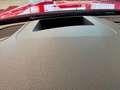 Audi RS4 Avant 2.9 TFSI B&O HeadUp Matrix KeylesGo Rouge - thumbnail 14
