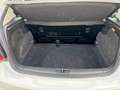 Volkswagen Polo 1.4 TDI BMT Advance 55kW Blanco - thumbnail 11