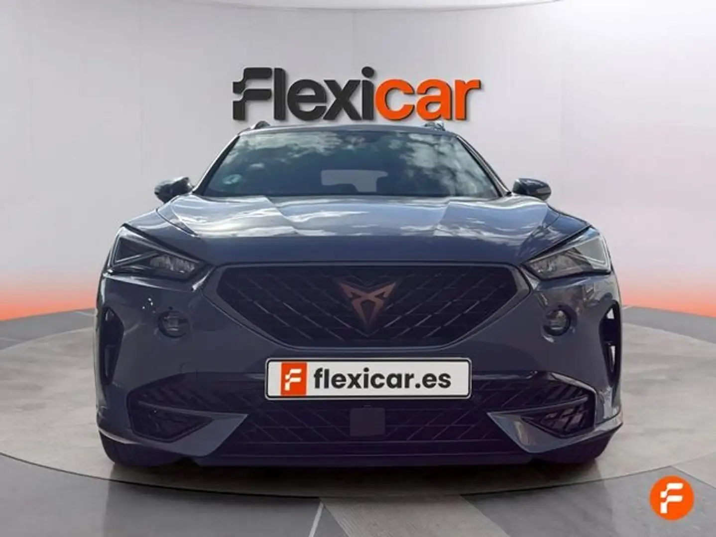 CUPRA Formentor 2.0 TSI 190 DSG 4Drive Gris - 2