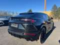 Lamborghini Urus Pano Head Up Massage Carbon 23´ Sternenhimm Noir - thumbnail 7