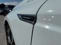 Renault Talisman Talisman 1.7 Blue dCi - 150 2019  BERLINE Limited Wit - thumbnail 21